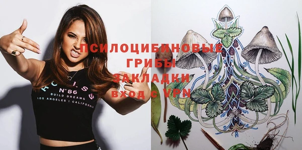 стафф Баксан