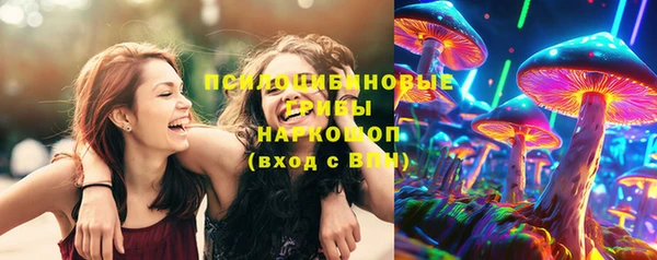 стафф Баксан