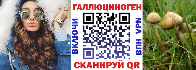 Псилоцибиновые грибы прущие грибы Ворсма