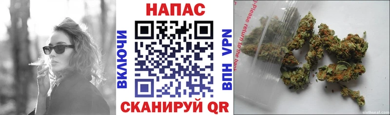 Бошки марихуана MAZAR  Ворсма 